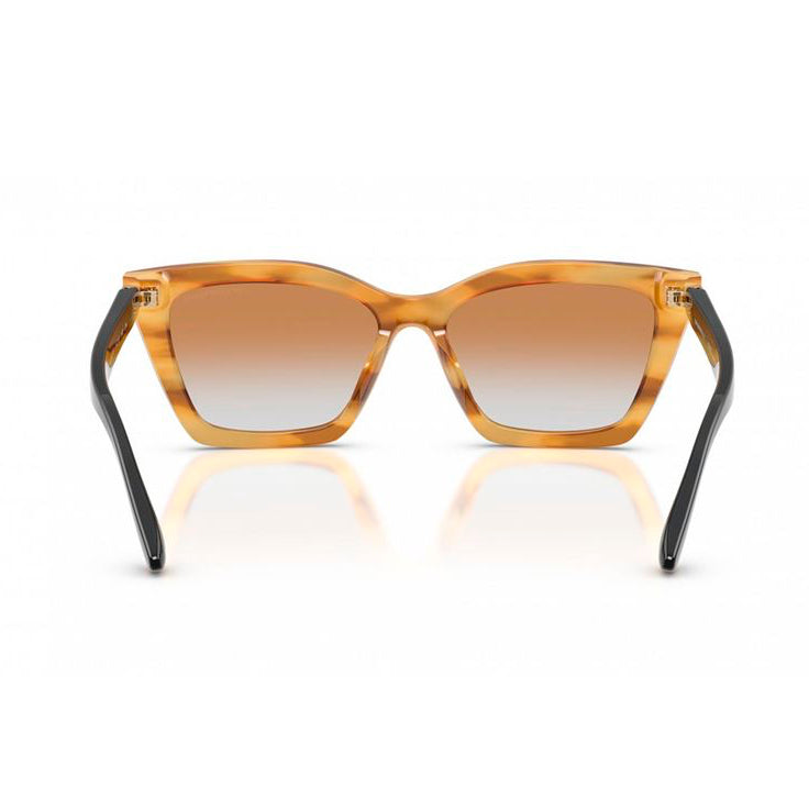 Дамски слънчеви очила Emporio Armani Women Sunglasses EA4250U62692Q Back View