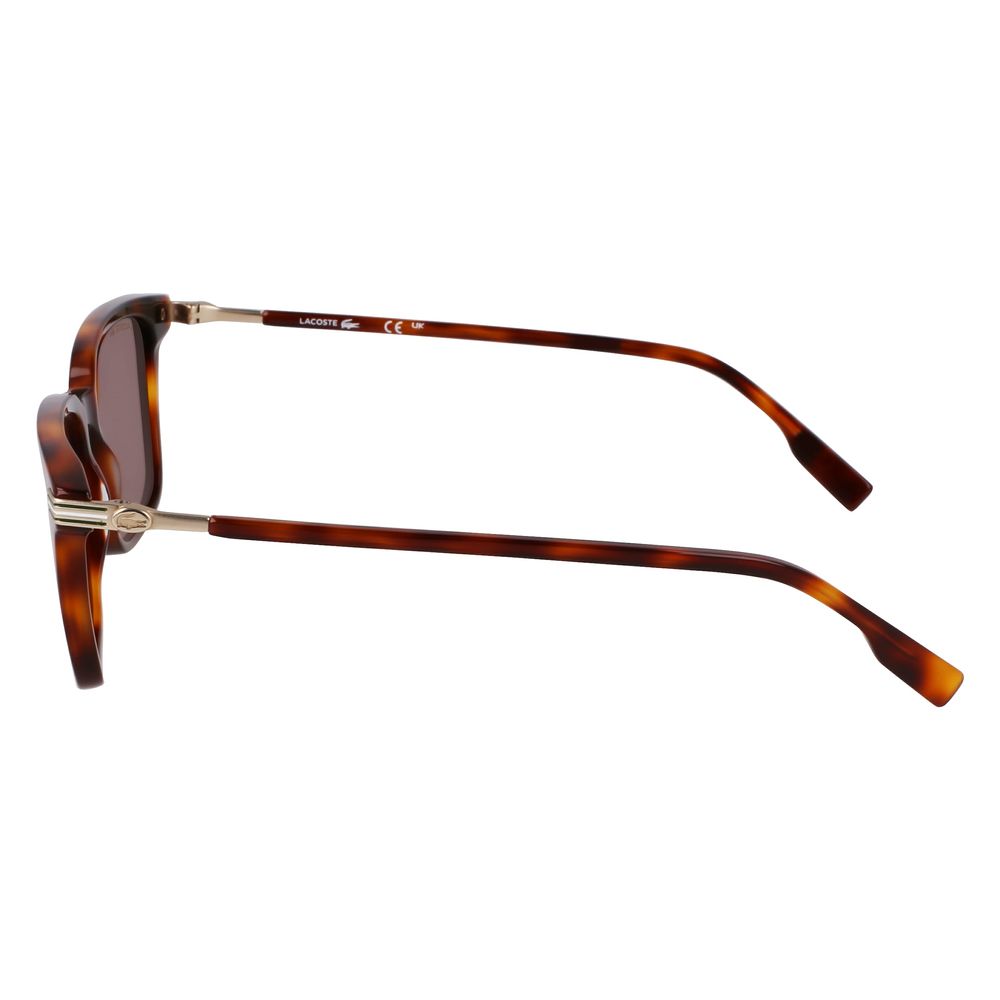 Lacoste Brown Acetate Sunglasses