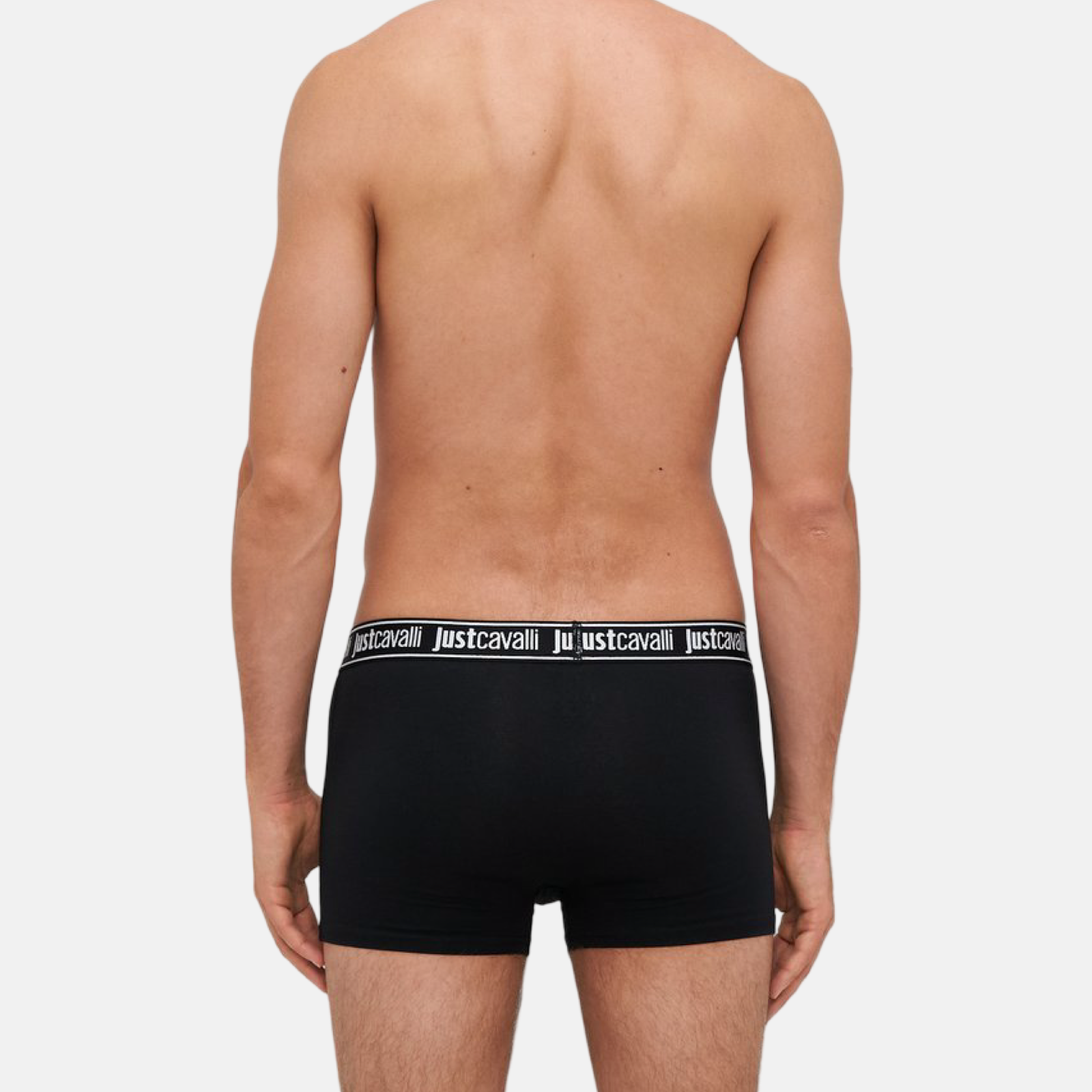 Мъжки боксерки Just Cavalli Men 3-pack Boxers 80OAJU02 CJUT2 899 Model Back View