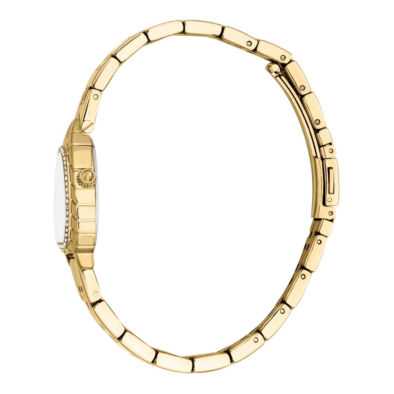 Дамски часовник Women’s watch Just Cavalli Animalier Perla JC1L366M0055
Yellow Gold/Silver