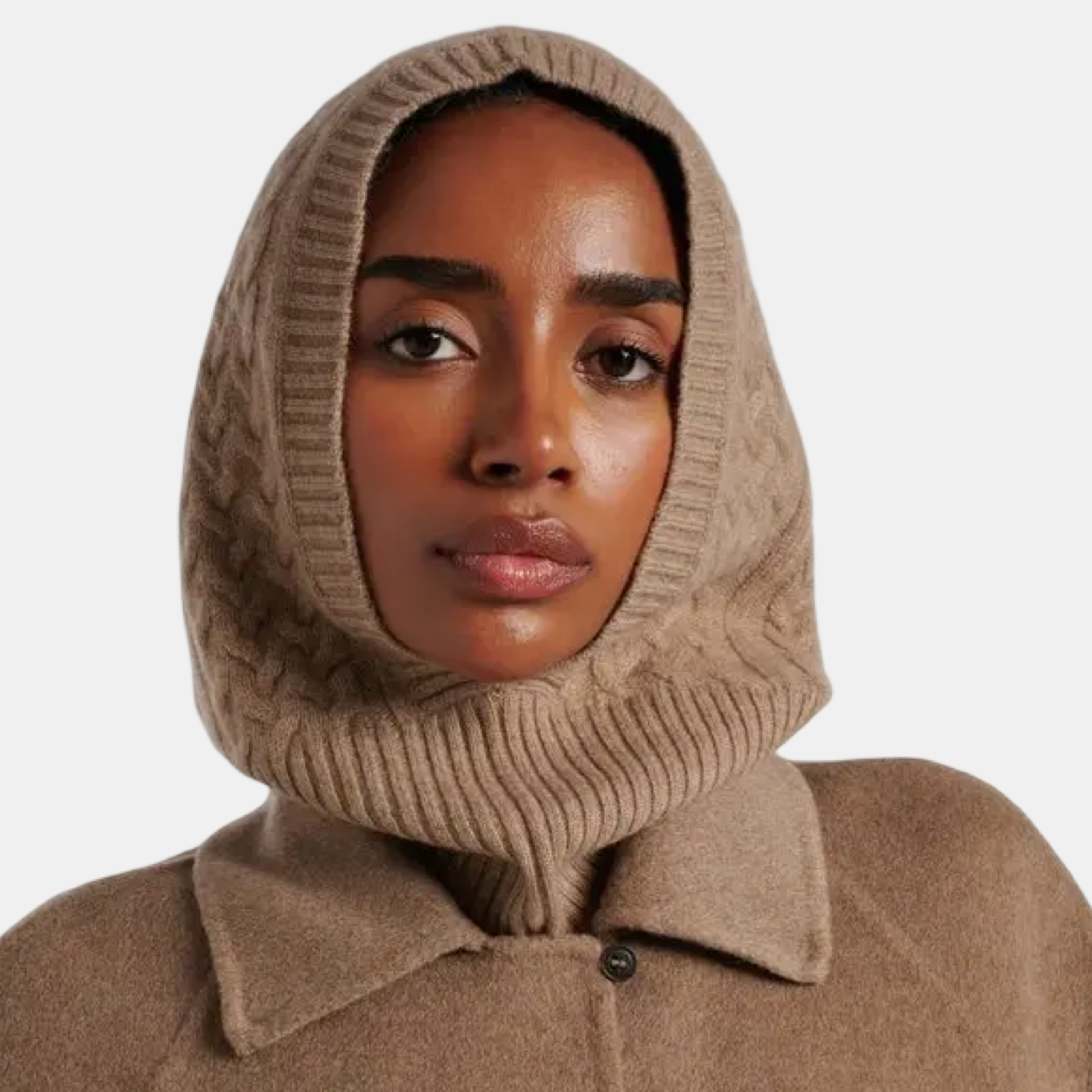 Max Mara Brown Cashmere Balaclava 2524576012600016 Model View