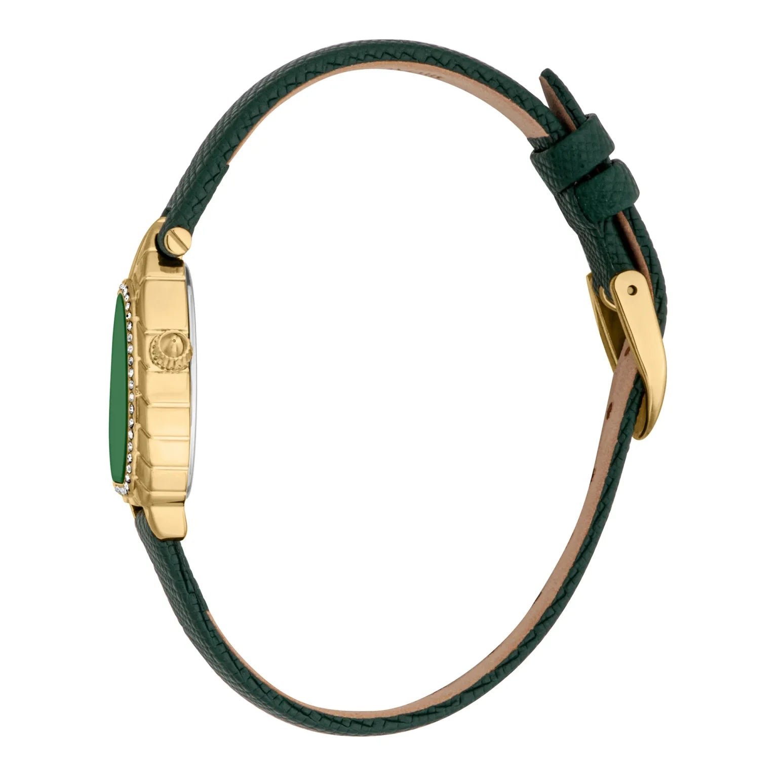 Дамски часовник Women’s watch Just Cavalli Animalier Perla
JC1L366L0025 Leather Green YG