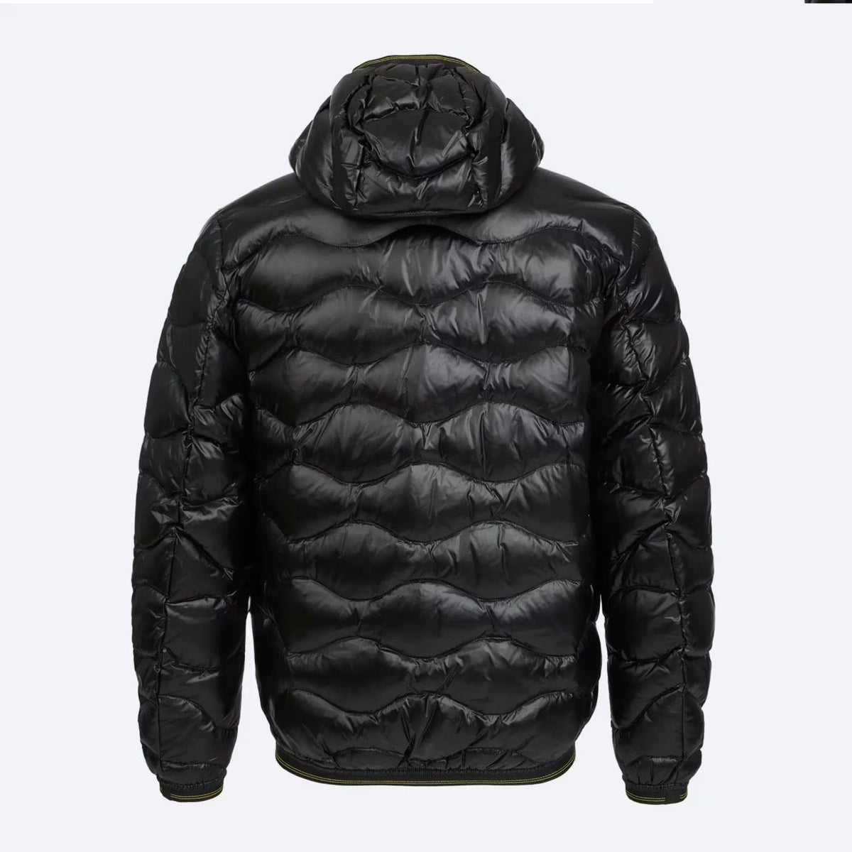 Men’s jacket Blauer Wave
26WBLUC03064 999 Black back view