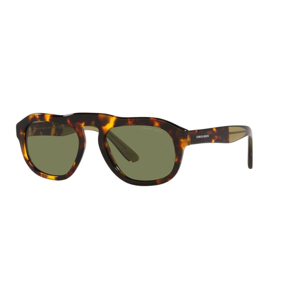 Мъжки слънчеви очила Men’s sunglasses Giorgio Armani AR8173-50922A Brown angled view
