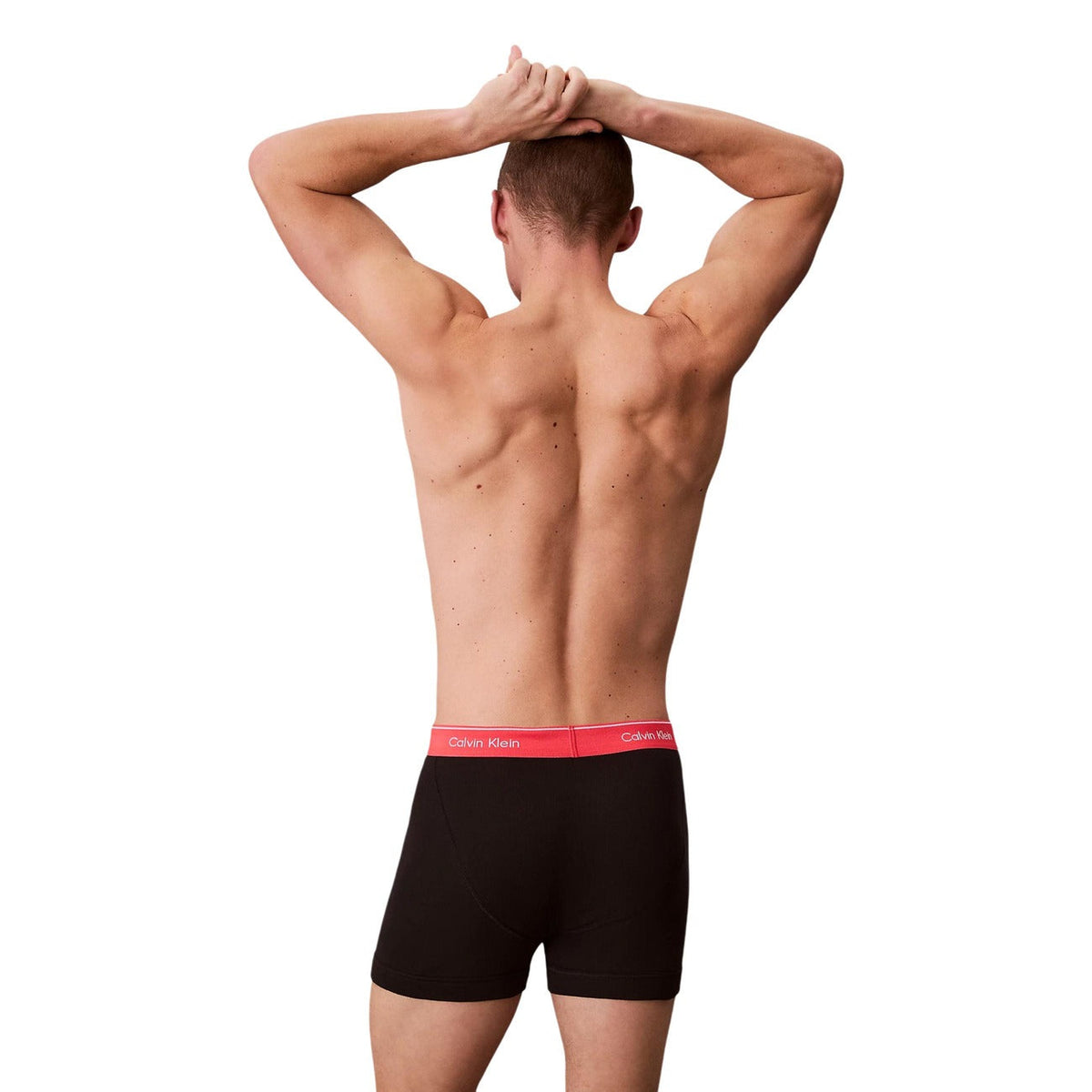 Мъжки боксерки Calvin Klein Men 3-pack Boxers 000NB4003A 3RX Back View