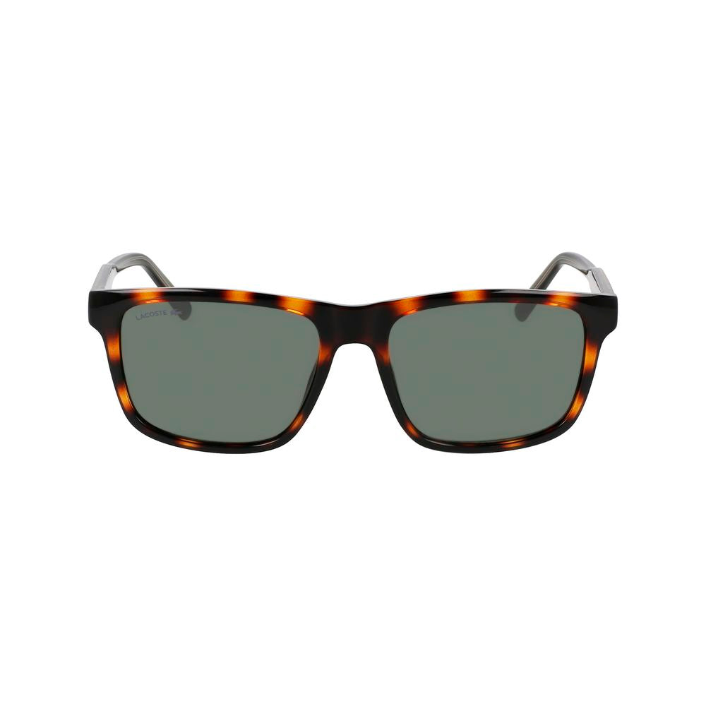 Lacoste Brown Injected Sunglasses