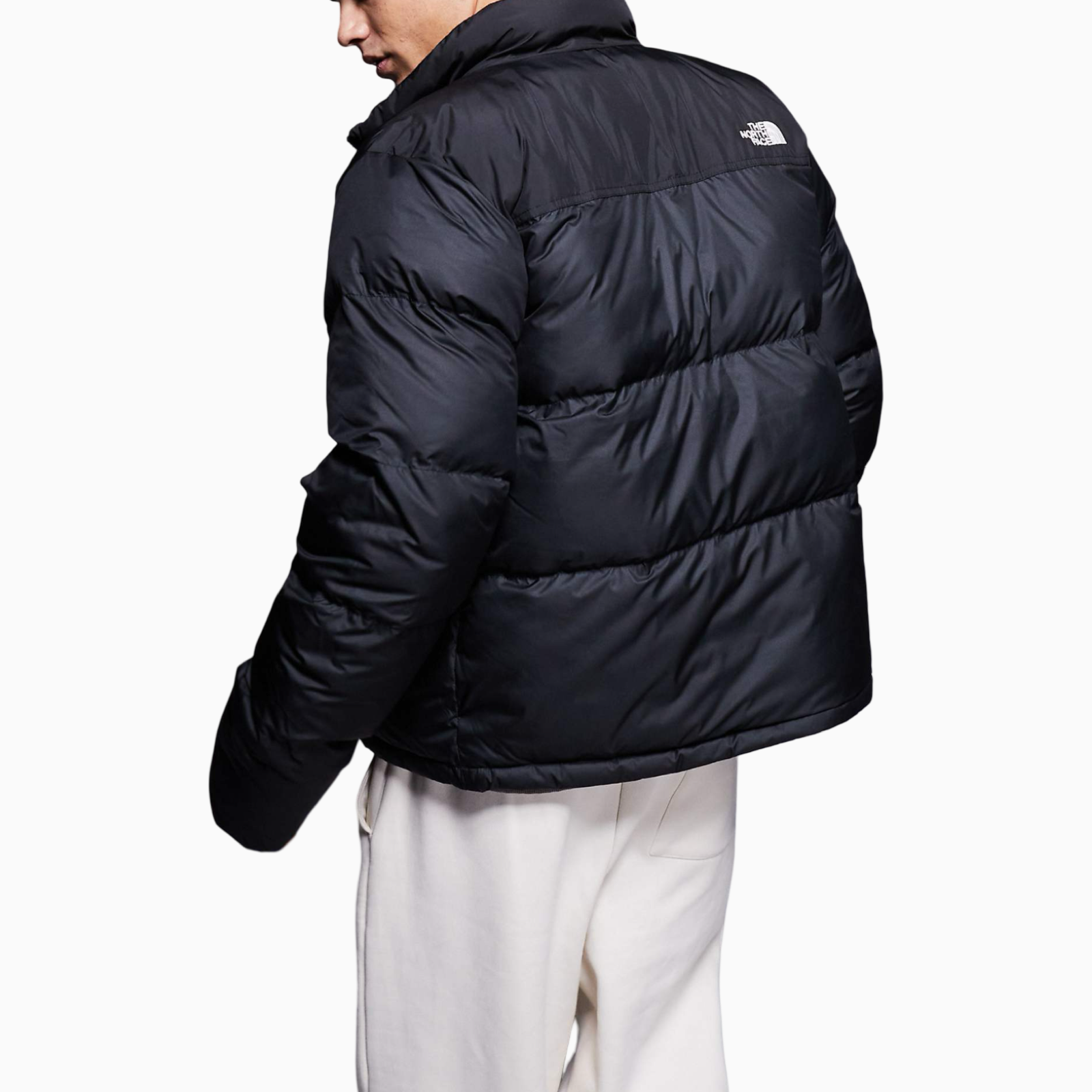 Мъжко черно яке The North Face Men Jacket NF0A853IJK3 Back View