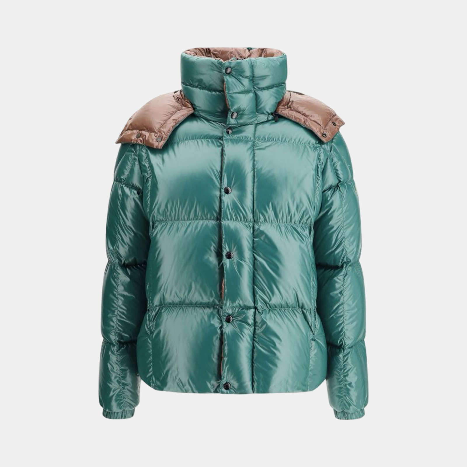 Moncler Parana Down Jacket K2091 1A00187 597Z8 866 Front View