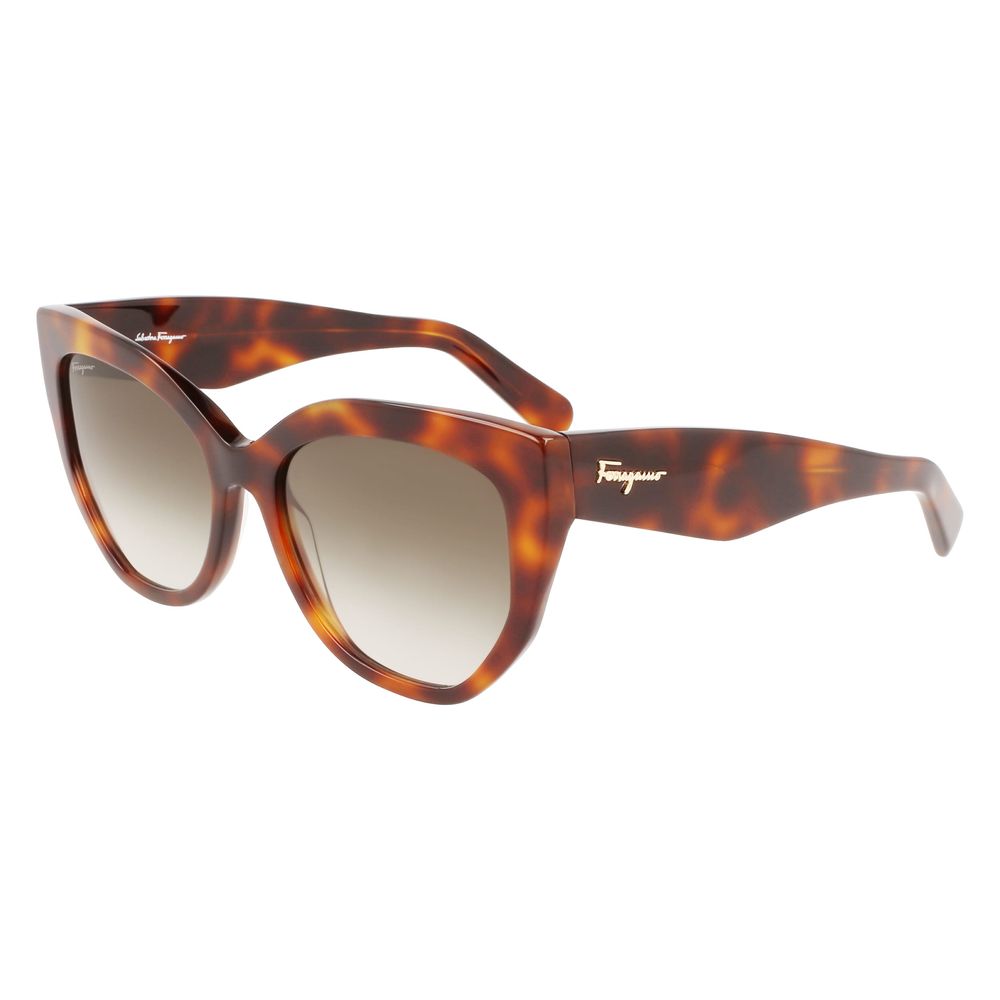 Ferragamo Brown Acetate Sunglasses