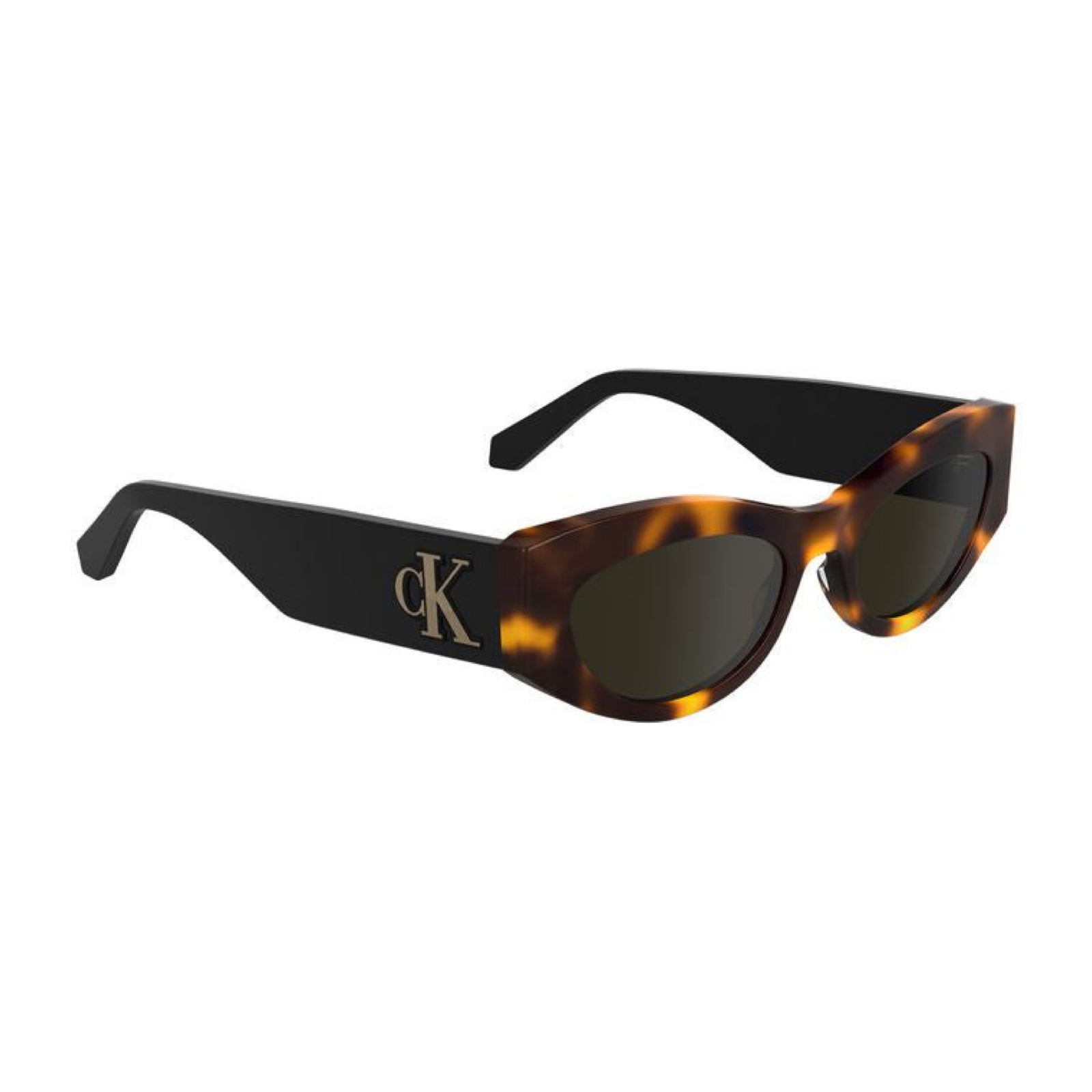 Calvin Klein Brown Acetate Women Sunglass