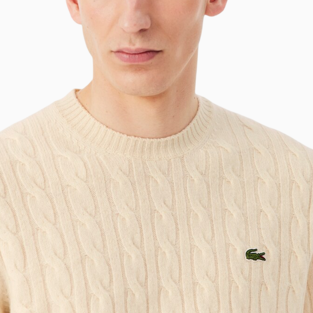Мъжки пуловер Lacoste Men Sweater AH2924 XFJ Close-Up