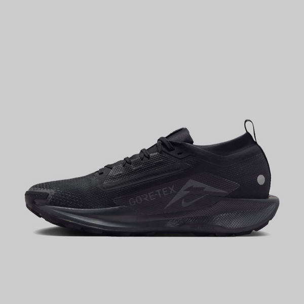 Мъжки маратонки Nike Pegasus Trail 5 GORE-TEX FQ0908-002 Men Sneakers Lateral View