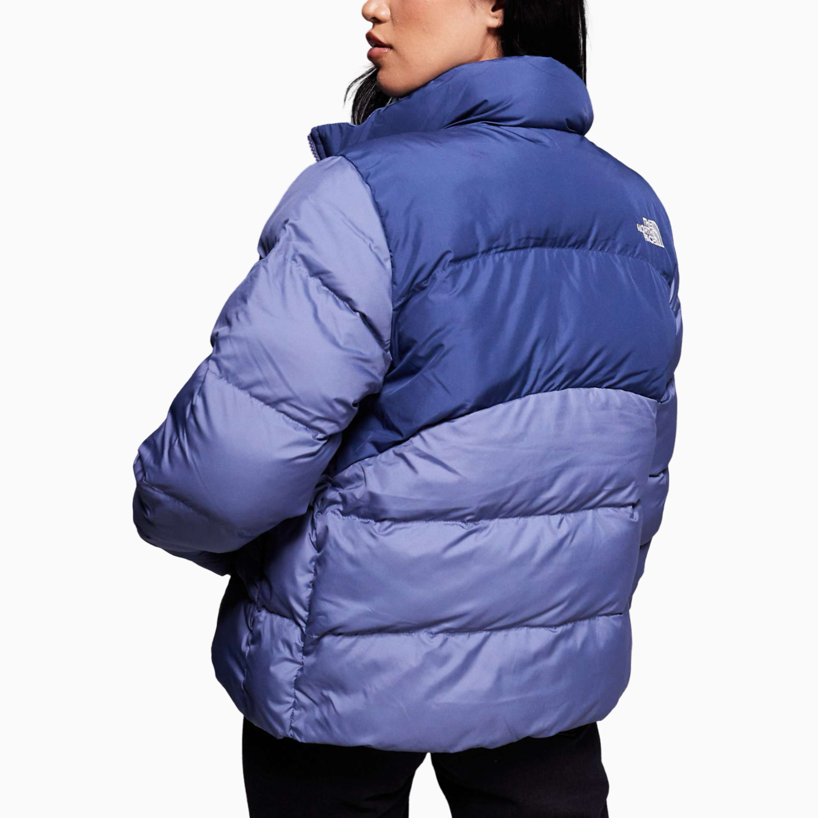 Дамско яке The North Face Women Jacket NF0A89JDE1I1 Back View
