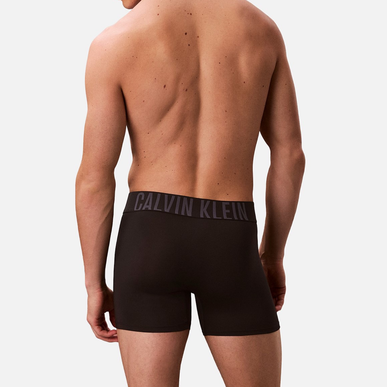 Мъжки боксерки Calvin Klein Men 3-pack boxers 000NB3612A 4W8 Back View