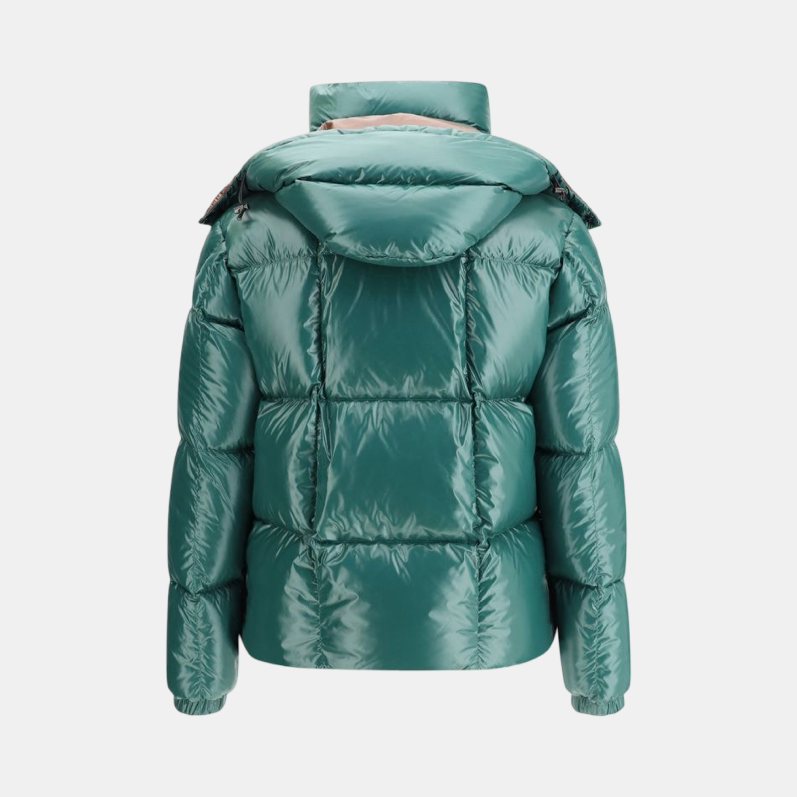 Moncler Parana Down Jacket K2091 1A00187 597Z8 866 Back View