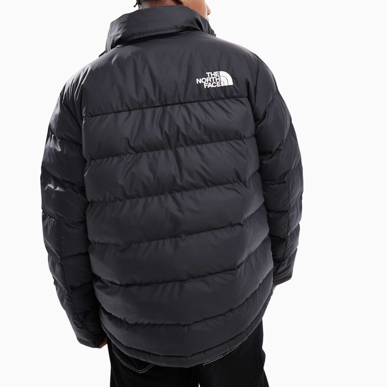 Мъжко черно яке The North Face Men Jacket NF0A89EGJK3 Back View