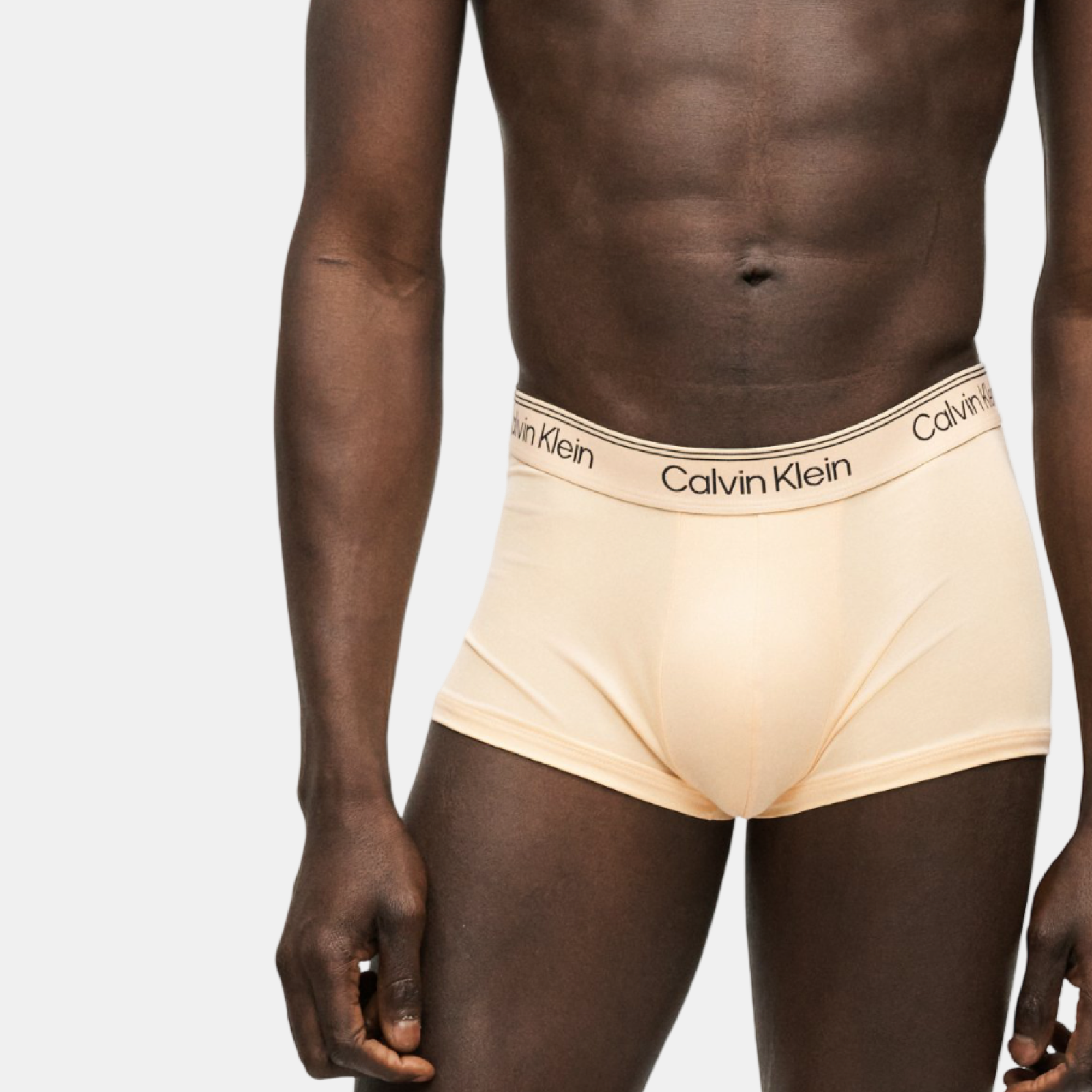 5 броя мъжки боксерки Calvin Klein Men 5-pack Boxers LV00NB4412 3ZY Model View