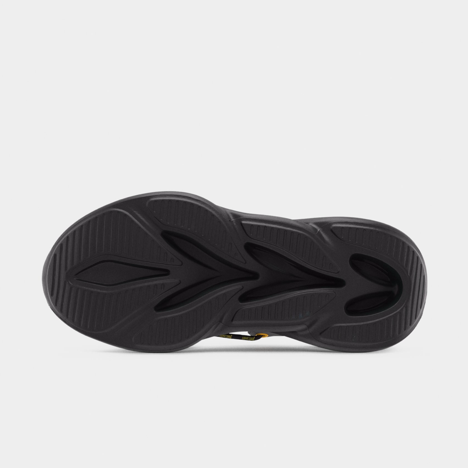 Мъжки маратонки Just Cavalli Fondo Vannie 80QA3SV2 ZSE47 833 Insole View