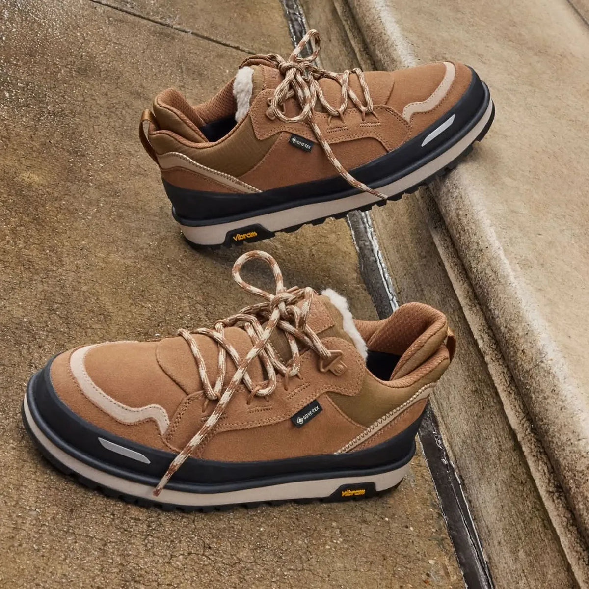Women’s sneakers UGG Lowmel Guard GTX
1180512 Chestnut street view