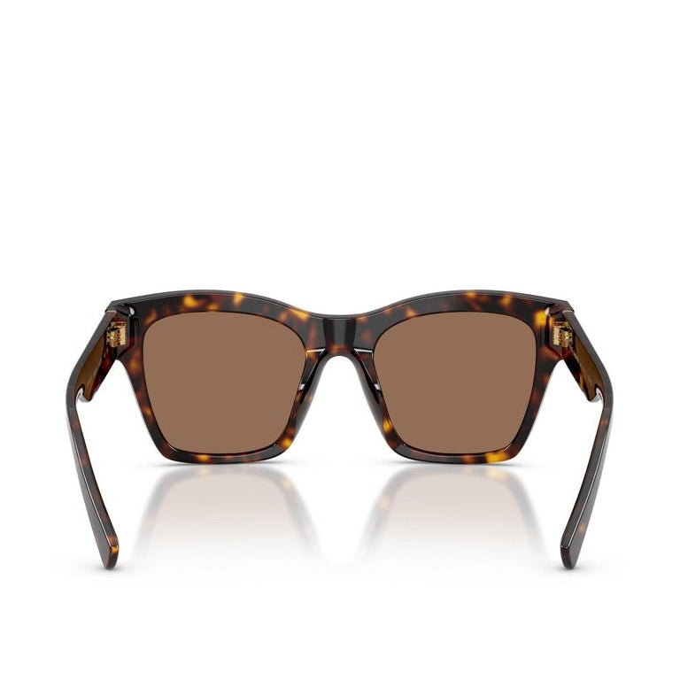 Дамски слънчеви очила Women’s sunglasses Dolce & Gabbana DG4512 502 73 Brown Havana back view