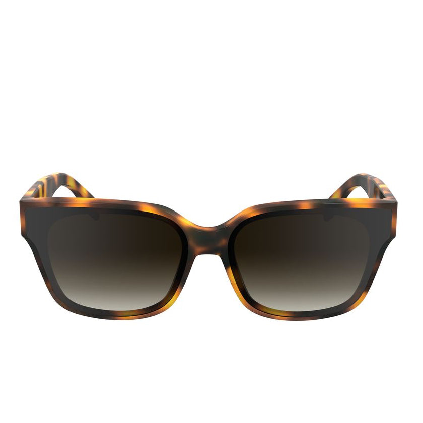 Дамски слънчеви очила Women’s sunglasses KARL LAGERFELD KL6161S240 Brown front view
