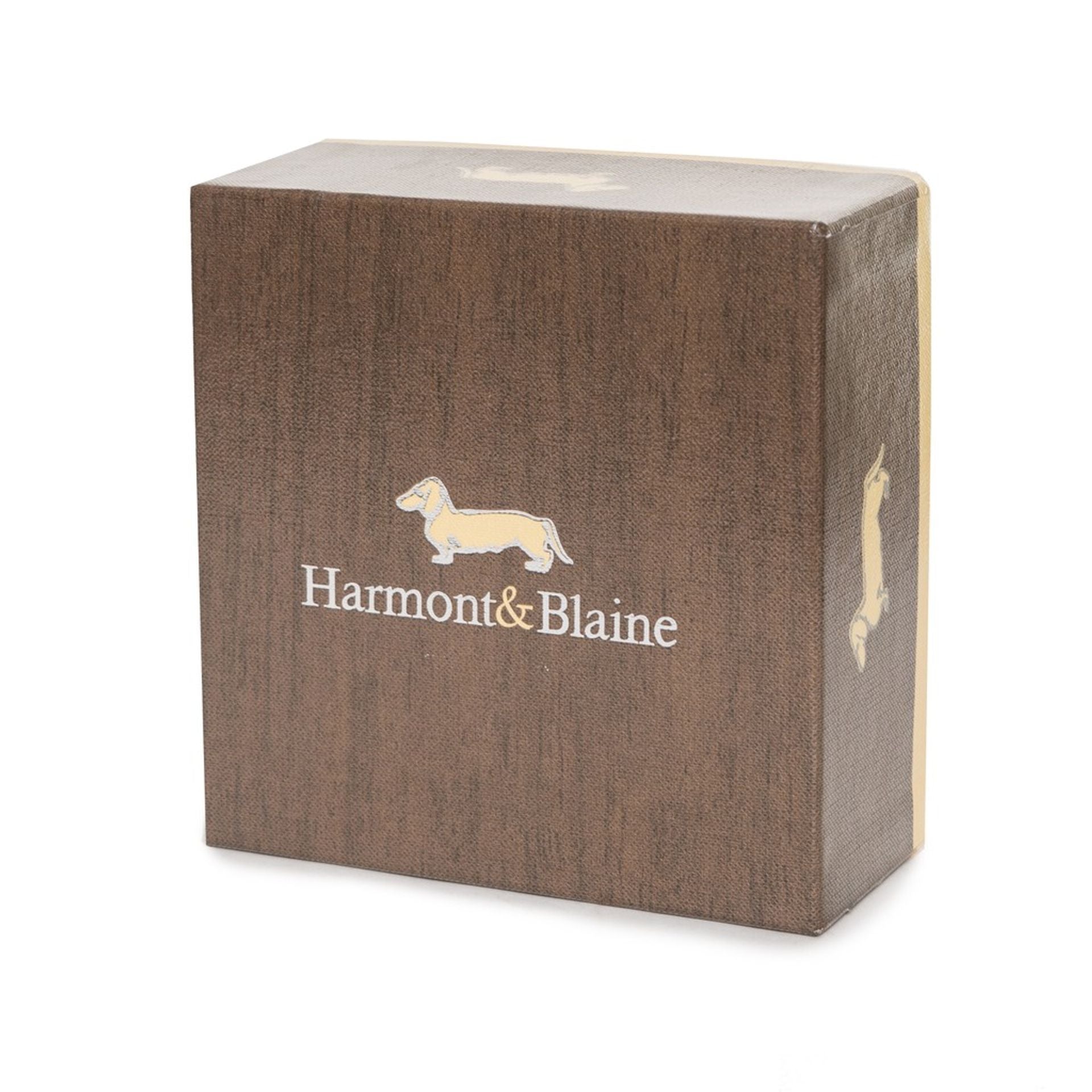 Harmont&Blaine Belts