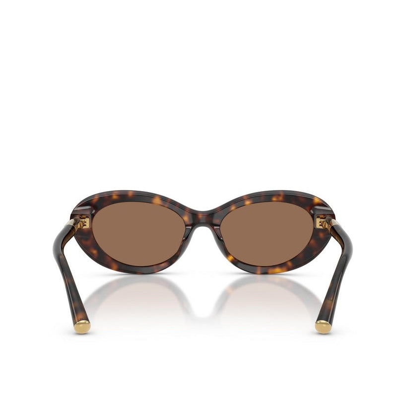 Dolce & Gabbana  Women Sunglasses