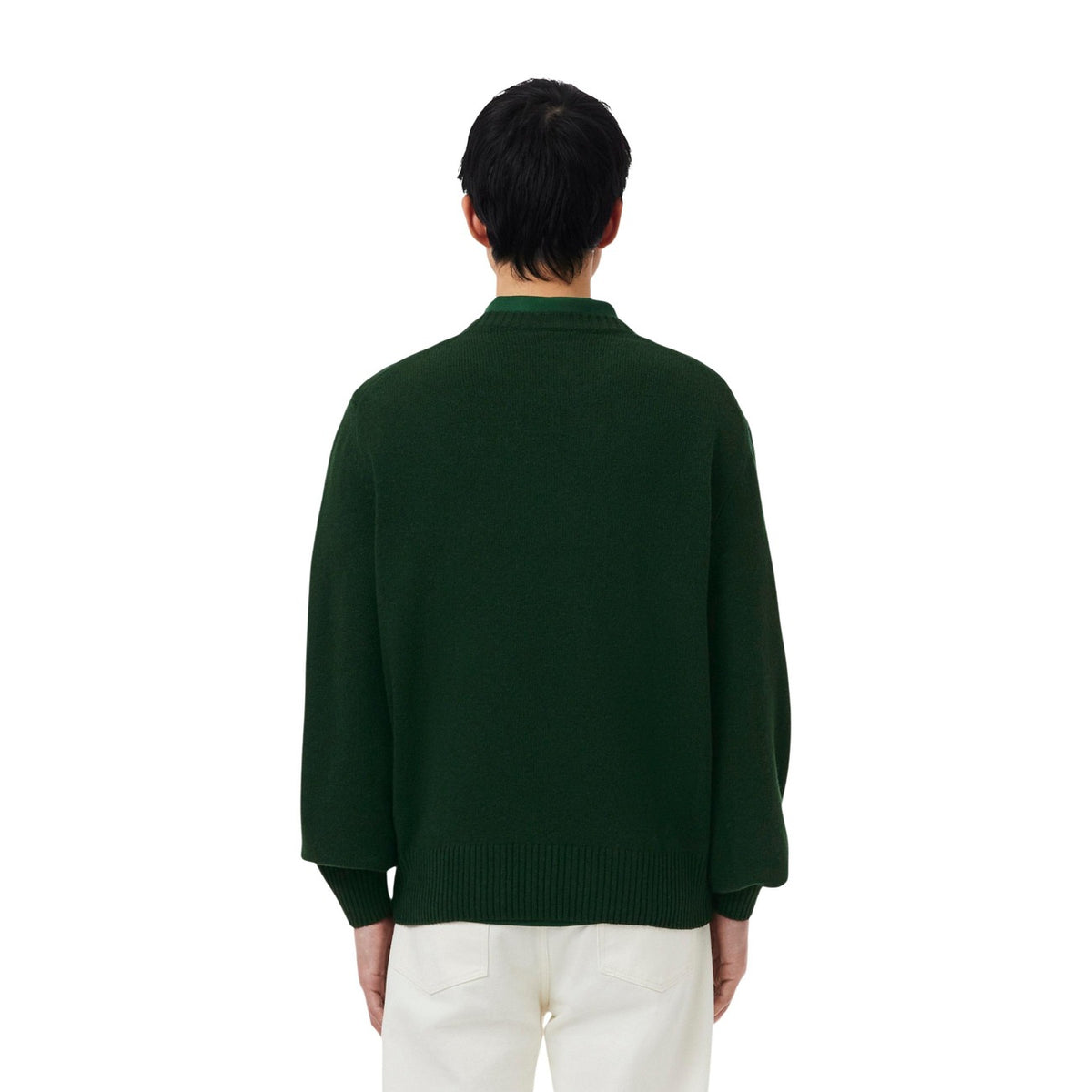 Lacoste Men Knitwear